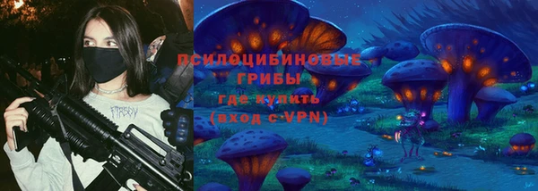 ГАЛЛЮЦИНОГЕННЫЕ ГРИБЫ Алексин